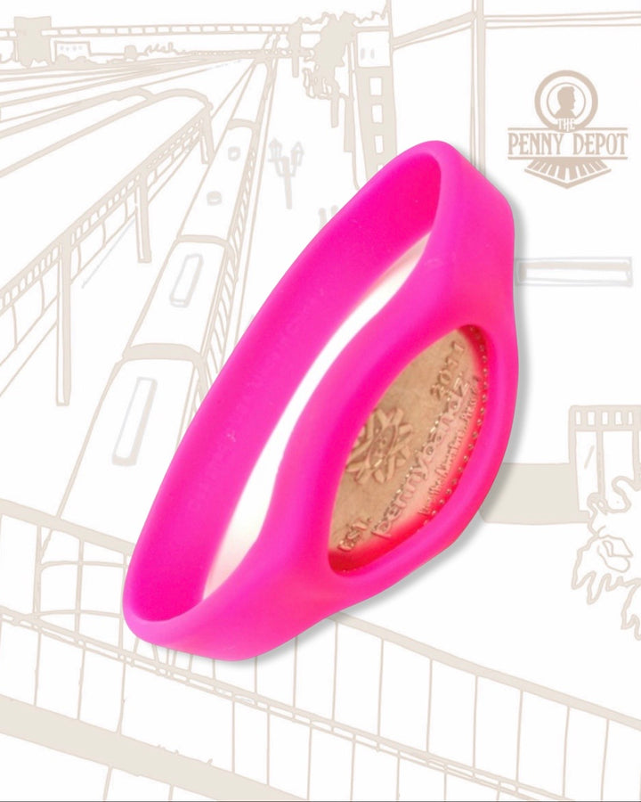 Pink Flamingo Pennybandz Accessories