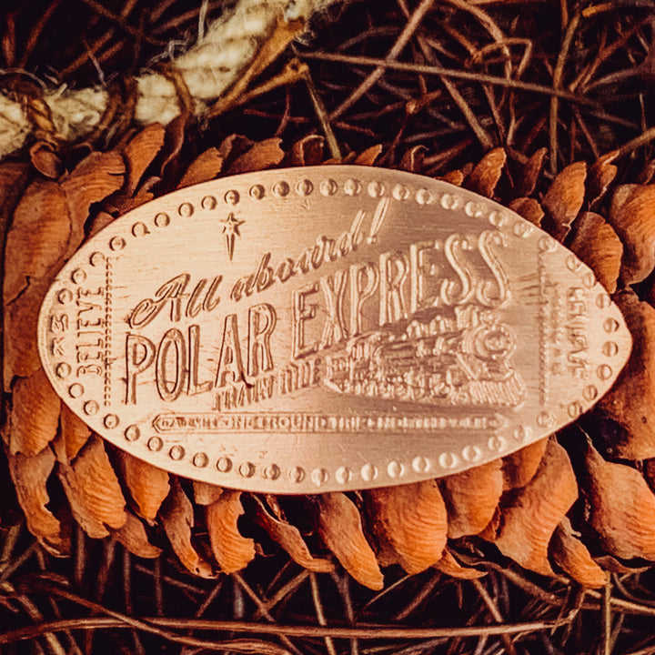 All Aboard! The Polar Express