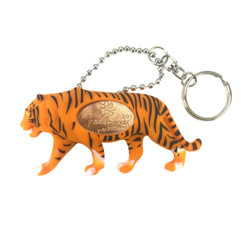 Kota the Tiger Pennybandz Accessories