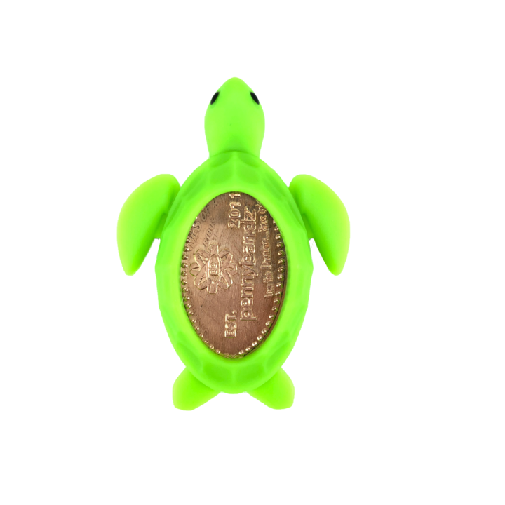 Turbo the Sea Turtle Pennybandz Accessories