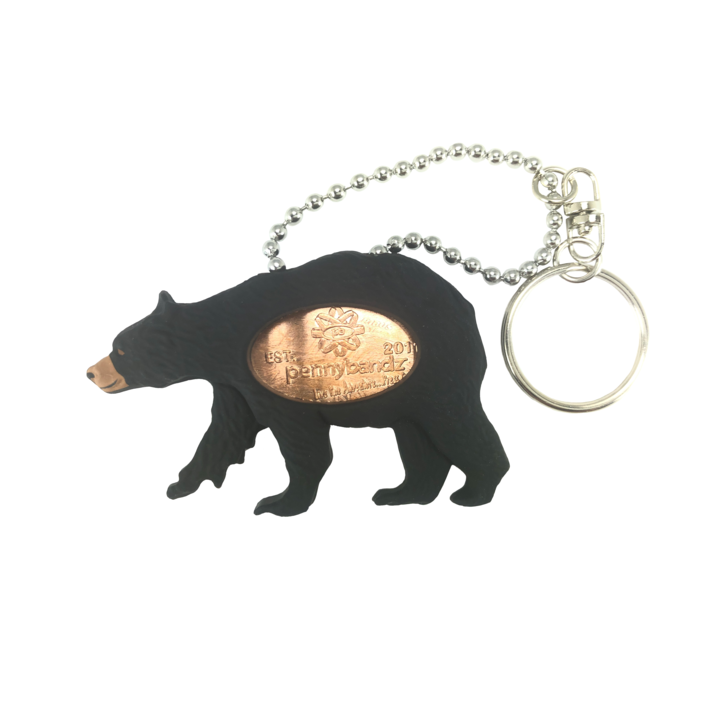 Fuzzy the Black Bear Pennybandz Accessories